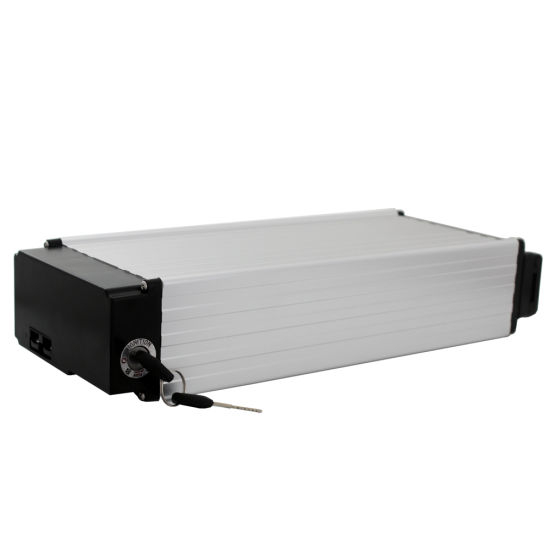 Electric Bike Accessories 36V Rear Rack Battery Pack with Charger