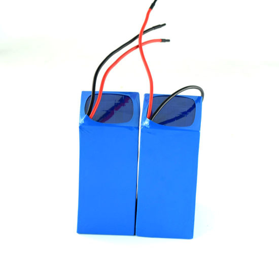 Lithium Rechargeable Battery Pack 10s3p with Charger