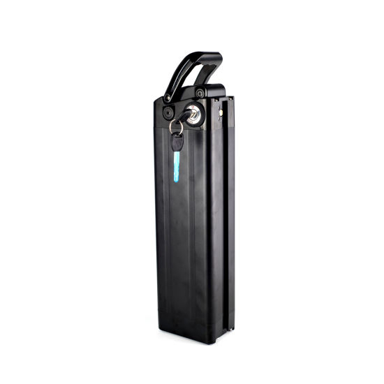 Small Silver Fish Type Electric Bike Li-ion Battery Pack 24V