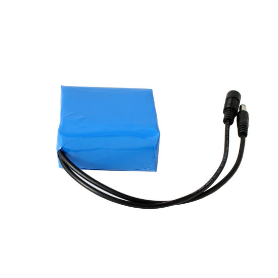 Portable 12V 4ah Mini Lithium Rechargeable Battery Pack 3s2p
