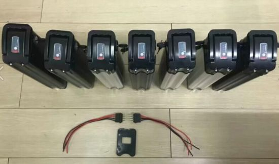 Hot Selling Lithium Ion Ebike Bicycle Battery Silver Fish 48V 20ah