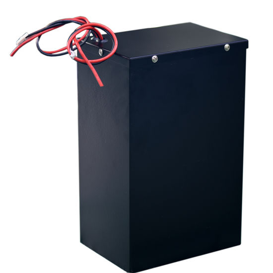 48V 40ah 1000W LiFePO4 Lithium Polymer Battery Pack for Electric Vehicles