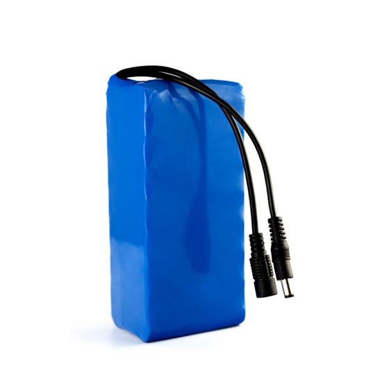 Customized High Power 36V 24ah Li Ion Electric Bike Battery Pack