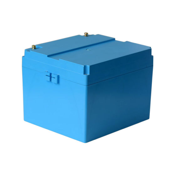 LiFePO4 Battery 12V 100ah for Motor Homes