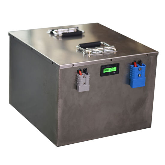 Deep Long Life 48V 100ah with High Performance BMS Li-ion Lithium Ion LiFePO4 Battery Pack
