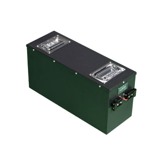 Deep Cycle LiFePO4 48V 60ah Lithium Iron Phosphate LiFePO4 Battery Pack