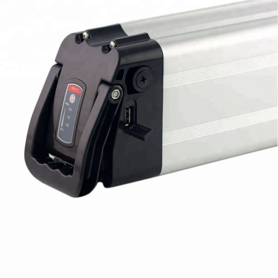 48V 20ah Lithium Ion Bike Silver Fish Battery