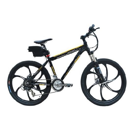 E-Bike Battery Pack 32650 LiFePO4 Battery Cells 24V 10ah for Electric Bicycle Scooter