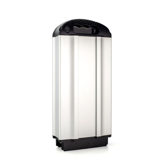 48V 20ah Lithium Ion Battery Pack for Electric Vehicle