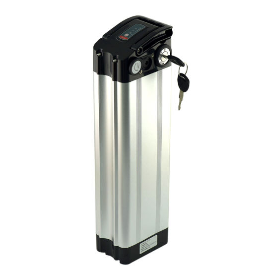 1000W 18650 36V 15ah Silverfish Lithium Ebike Battery Pack