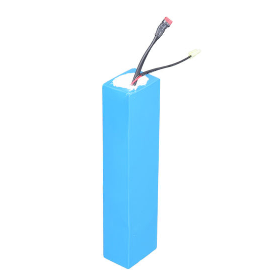 Electric Vehicle Battery Pack 48V LiFePO4 Battery China Supplier