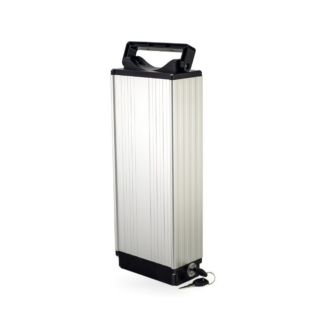 Lithium Ion 48V 1000W Electric Bike Battery Pack