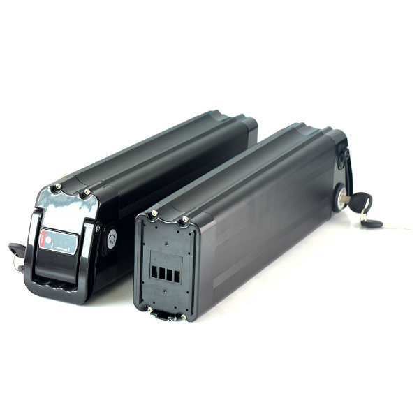 48V 15ah 18650 Li Ion Silver Fish Type Ebike Battery with Charger