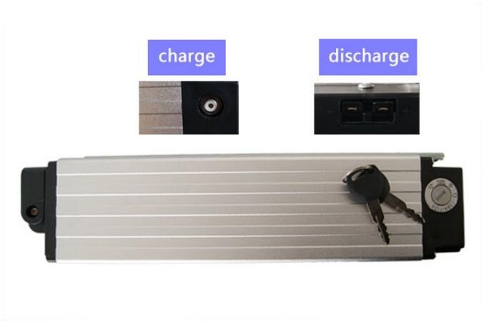 1000W 48V 20ah Rear Rack Lithium Ion Battery for Electric Bike