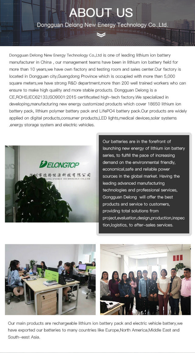 48V 20ah Lithium Rechargeable Battery with LED Light for Electric Bike Kit with Battery