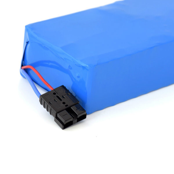 13s 8p Electric Bike Battery 48V 20ah 1000W for Rickshaw