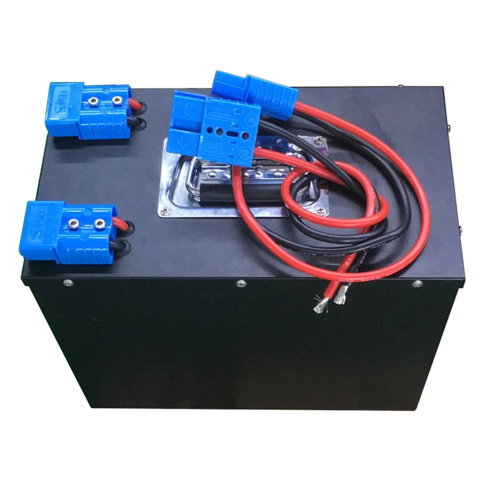 Rechargeable Lithium Ion Battery Pack 12V 200ah LiFePO4 with BMS