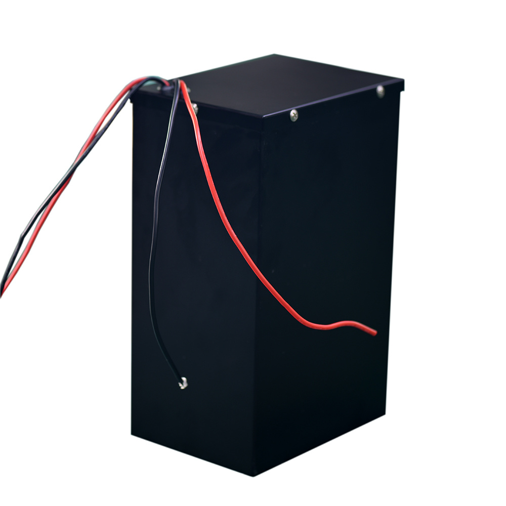 48V 40ah 1000W LiFePO4 Lithium Polymer Battery Pack for Electric Vehicles