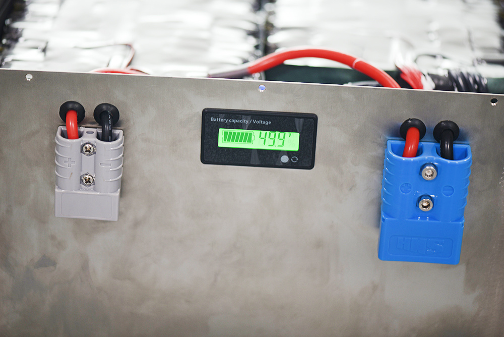 Deep Long Life 48V 100ah with High Performance BMS Li-ion Lithium Ion LiFePO4 Battery Pack
