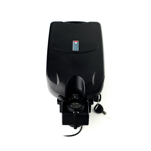 Manufacturer Sale Frog Type 36V Battery Electric Bike with 18650 Cells