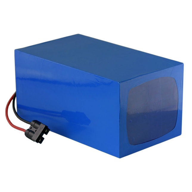 48V Nominal Voltage and Customized Size Battery Pack for Christmas Lights