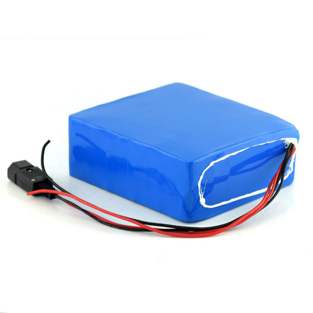 Customized 48V 15ah 750W Electric Vehicle Battery Pack