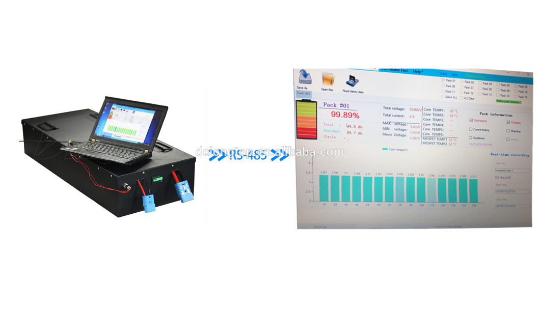 Custom Lithium Iron Phosphate LiFePO4 12V 24V 36V 48V 100ah 120ah 150ah 200ah 250ah Battery Pack with BMS