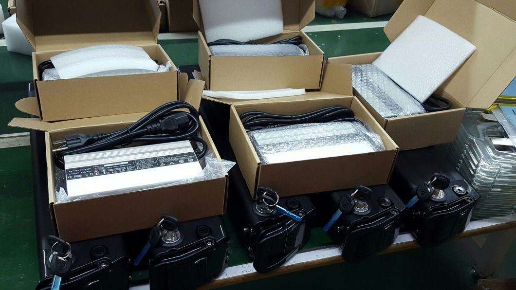Hot Selling Lithium Ion Ebike Bicycle Battery Silver Fish 48V 20ah