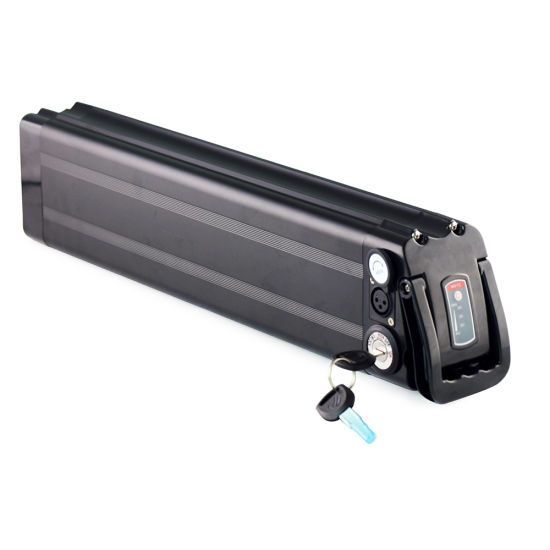 Customized Li-ion Battery 24V 36V 48V Lithium Ion Battery for Electric Bike Silver Fish