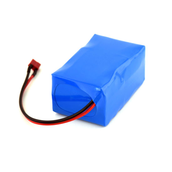 Rechargeable Lithium Ion Battery Pack 6s2p 18650 22.2V 6000mAh with BMS