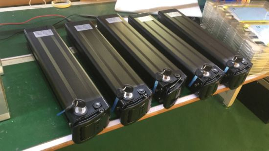 Silverfish Battery 36V 20ah Lithium Ion Battery for E Bicycle