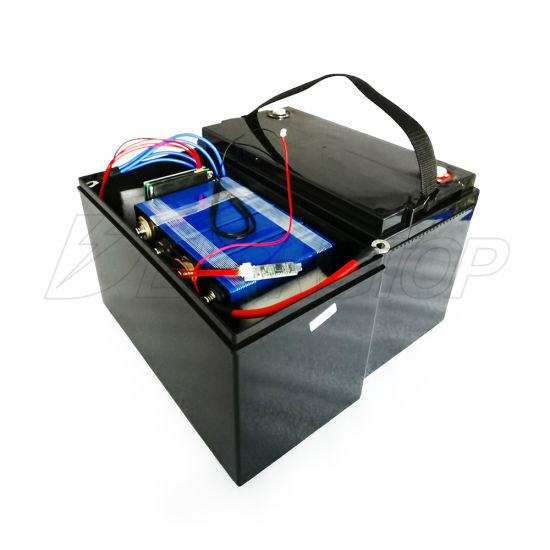 Custom Lithium Iron Phosphate LiFePO4 12V 24V 36V 48V 100ah 120ah 150ah 200ah 250ah Battery Pack with BMS