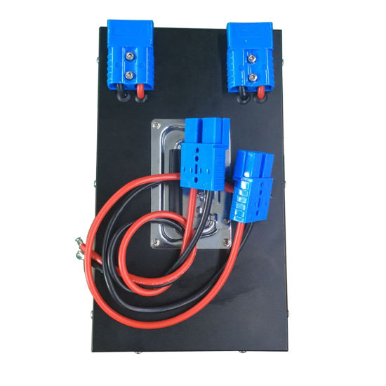 Rechargeable Lithium Ion Battery Pack 12V 200ah LiFePO4 with BMS