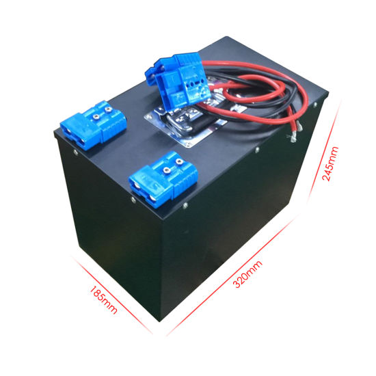 Rechargeable Lithium Ion Battery Pack 12V 200ah LiFePO4 with BMS