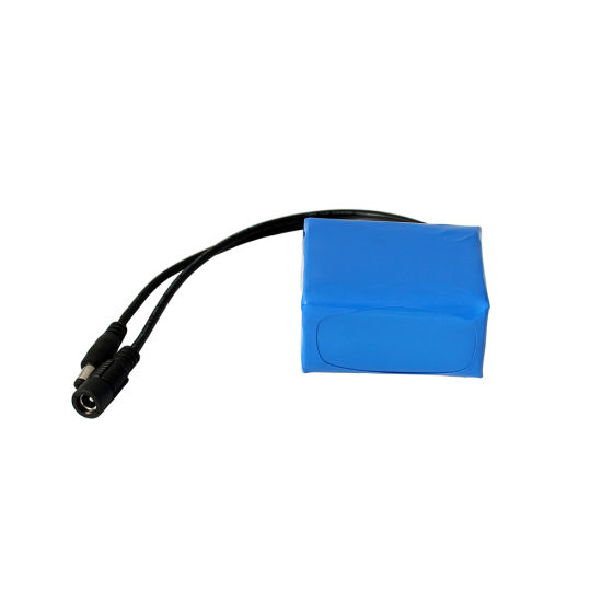 Light Weight Rechargeable 12V 4ah Lithium Battery Pack for LED Light