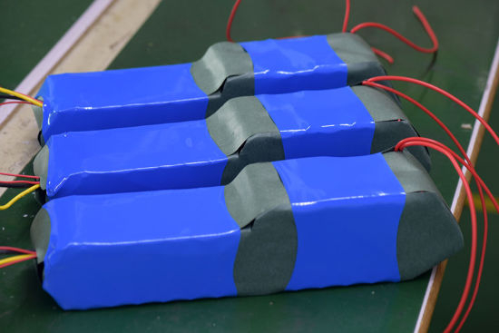 Hailong Down Tube Lithium Battery for Electric Bicycle