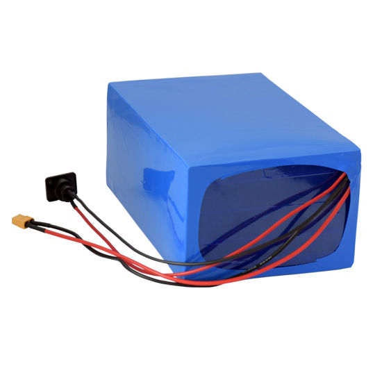 Rechargeable LiFePO4 Battery 48V 20ah with Long Cycle Life
