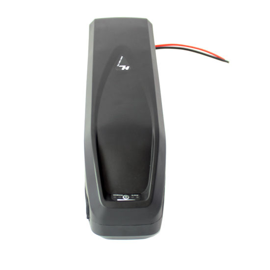 Hailong Type Lithium Battery Pack for 750W Motor with USB