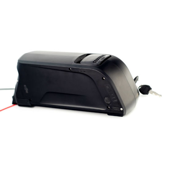 Dolphin Style 48V 10ah Lithium Ion Ebike Battery with USB Port for Phone
