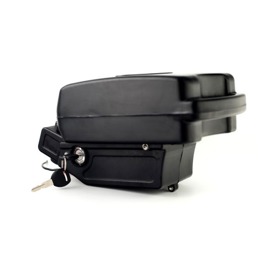 Frog Type E-Bike Battery Pack 24V 10ah for Electric Scooter Motorcycle