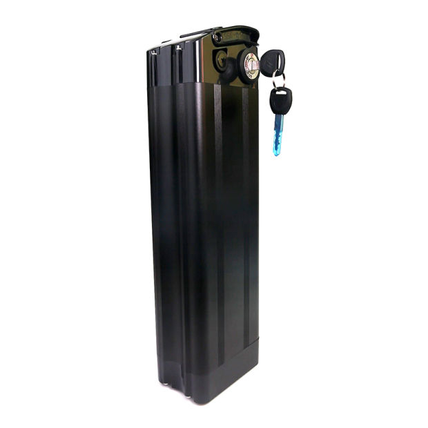 Customize Lithium Ion Pack 48V 20ah Battery for Electric Bike