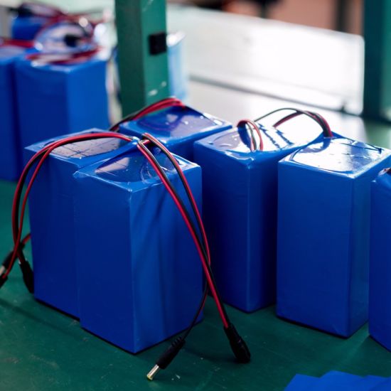 18650 Brand Cells 36V10ah Lithium Ion Battery Pack for Ebike