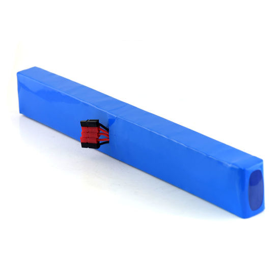 48V 10ah Rechargeable Lithium Ion Battery Pack