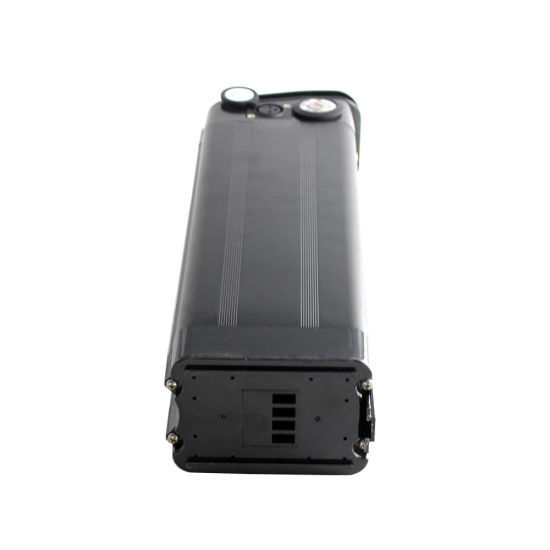 48V 10ah Silver Fish Lithium Ion Battery for Electric Bike