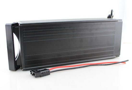 Lithium Ion 48V 1000W Electric Bike Battery Pack