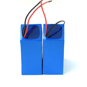24V 10ah Lithium Battery Pack for Ebike