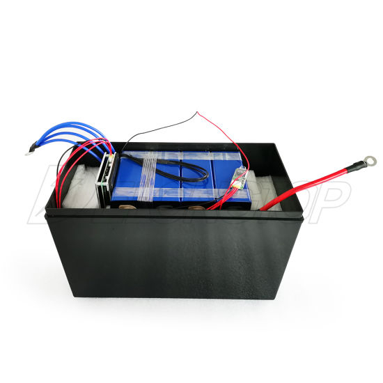 12V 100ah LiFePO4 Battery Pack with BMS and Case Lithium Iron Phosphate Solar System