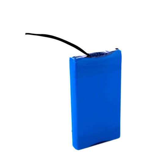 36V 4A 18650 Lithium Battery for Hoverboard Dongguan Supplier