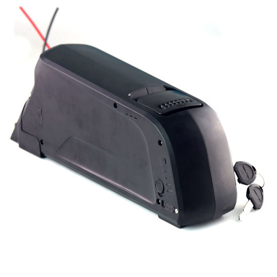 48V 10ah Lithium Ion Battery for Electric Bike