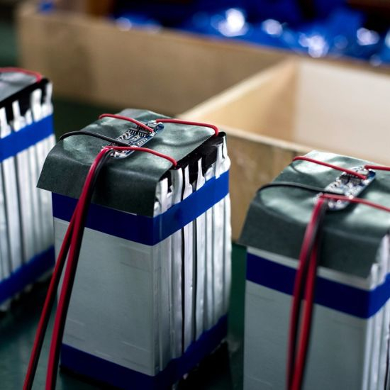 Lithium Polymer Power Battery Pack 60V 20ah for Electric Scooter Motorcycle
